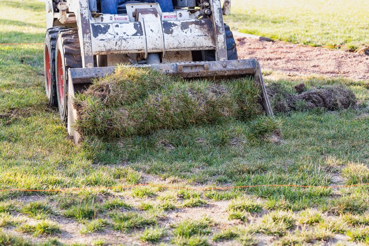 Land-Clearing-Gig-Harbor-WA 